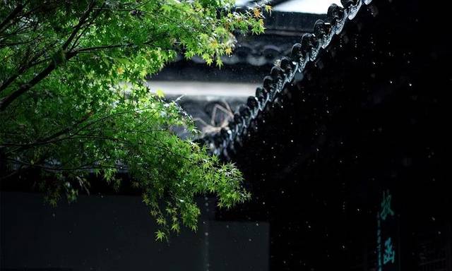 【芒種】連雨不知春去一晴方覺夏深——清晨雨